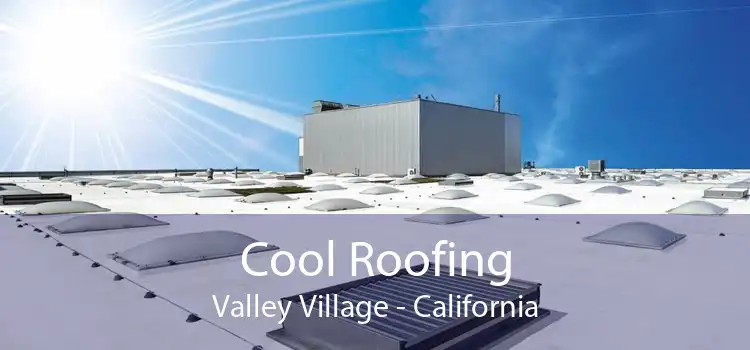 Cool Roofing Valley Village - California