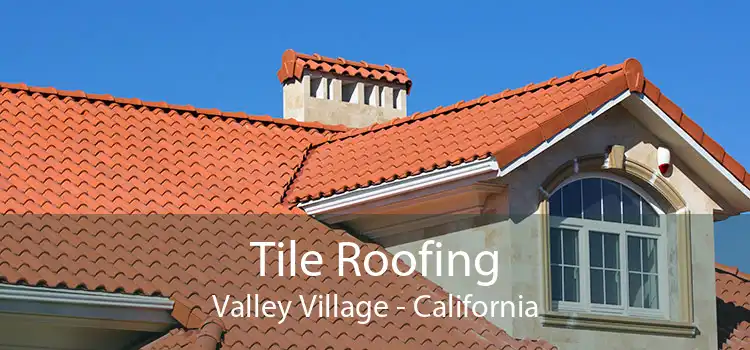 Tile Roofing Valley Village - California