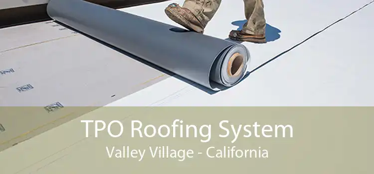 TPO Roofing System Valley Village - California